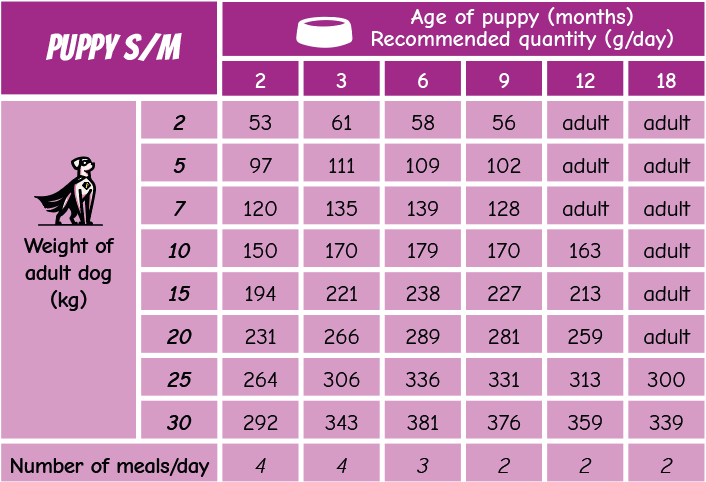 POW! Puppy S/M