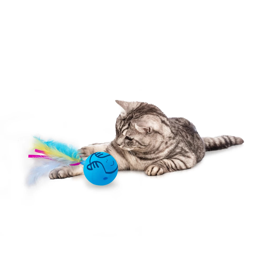 AFP Kattleksak Modern Cat Dizzy Spinner