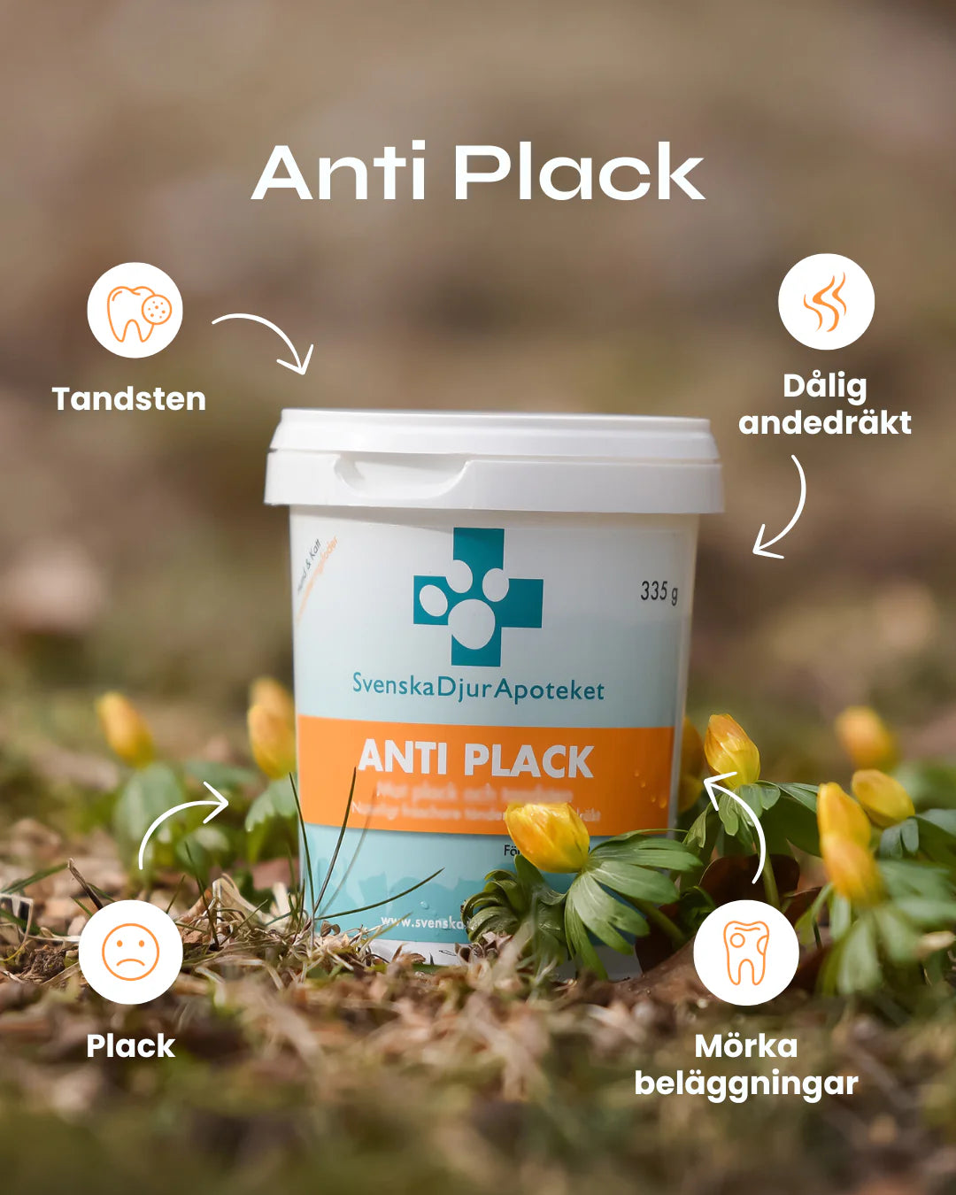 Svenska Djurapoteket Antiplack