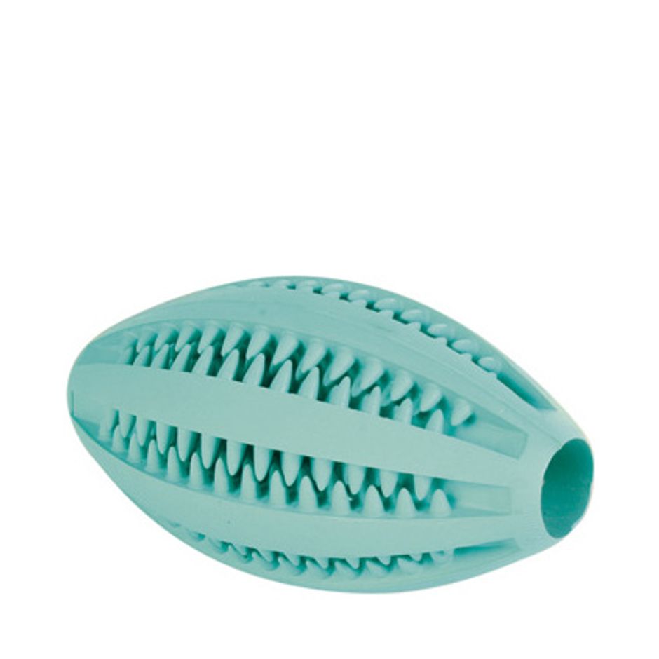 Trixie Denta Fun Rugbyboll