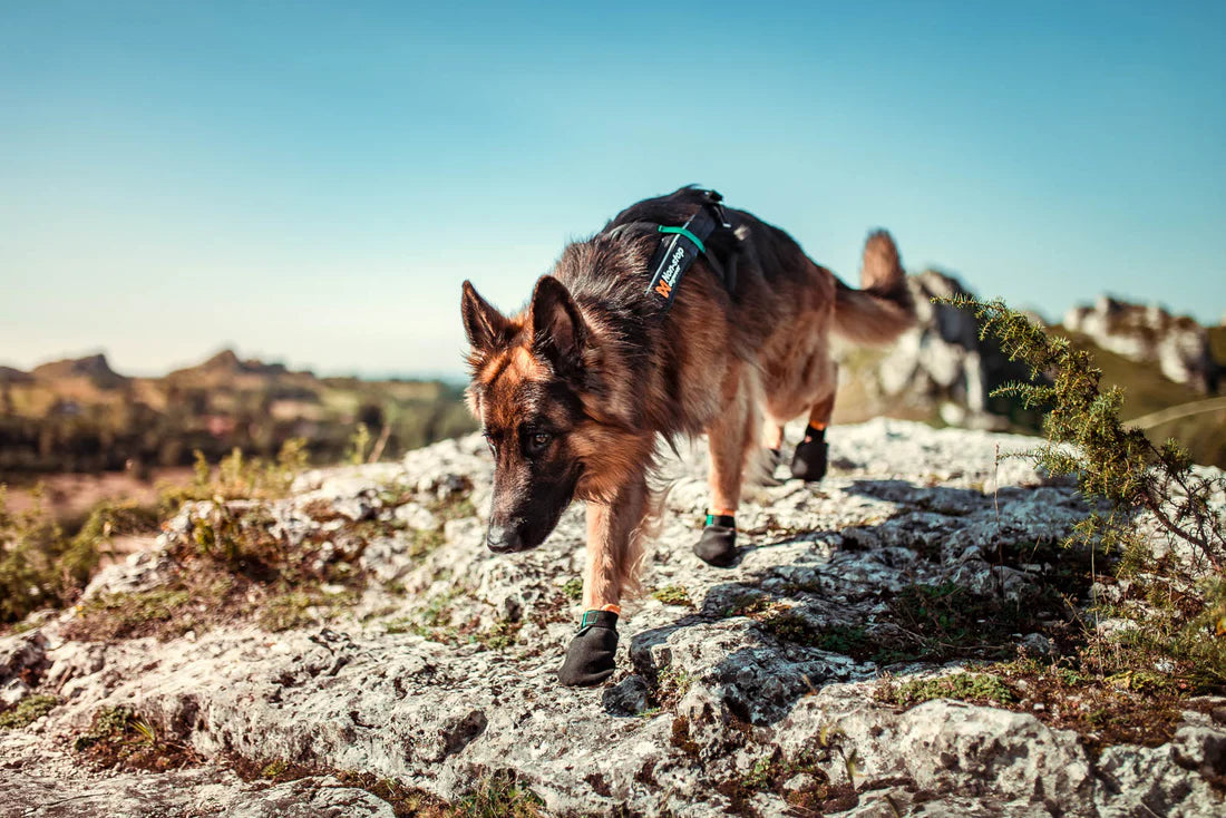 Non-stop Dogwear Protector Bootie