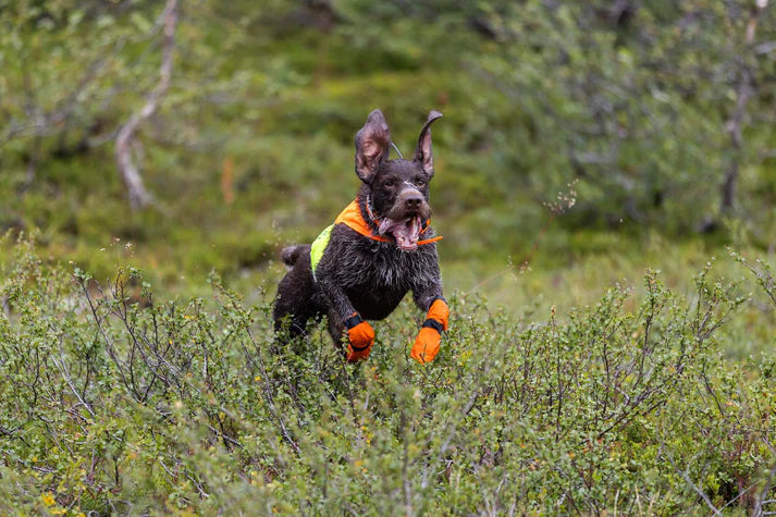 Non-stop dogwear Protector Cover 2.0 Orange