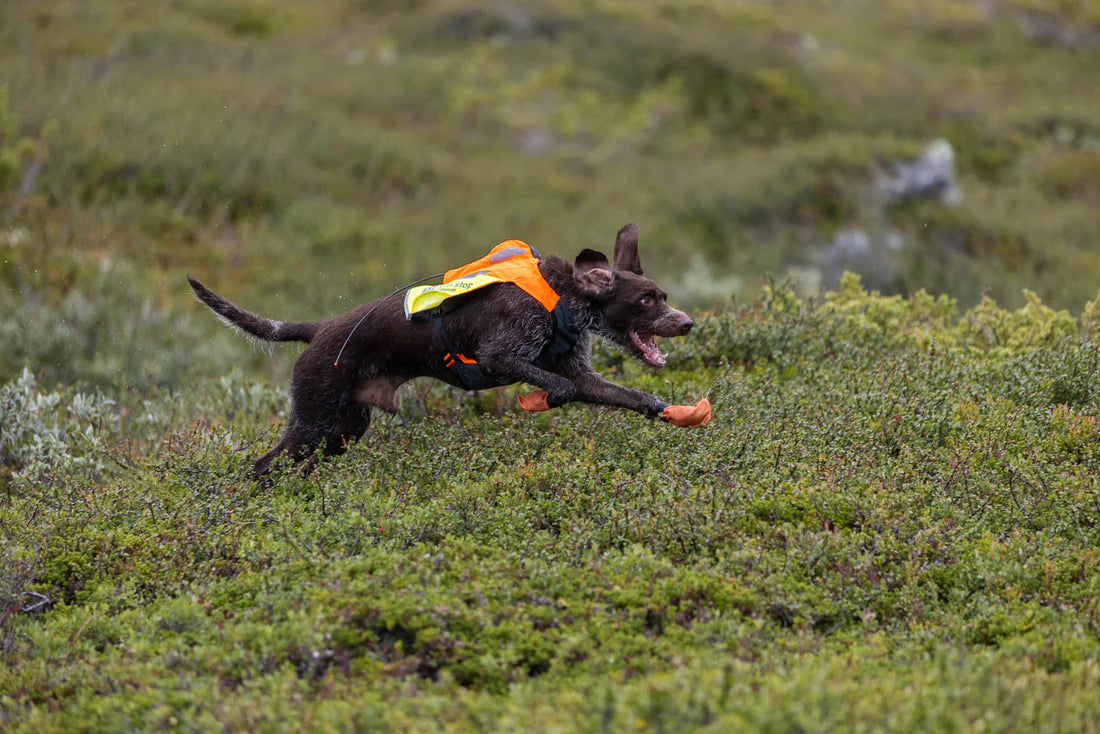 Non-stop dogwear Protector Vest GPS 2.0