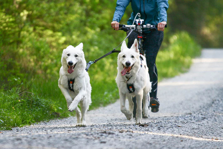 Non-stop Dogwear Touring Double
