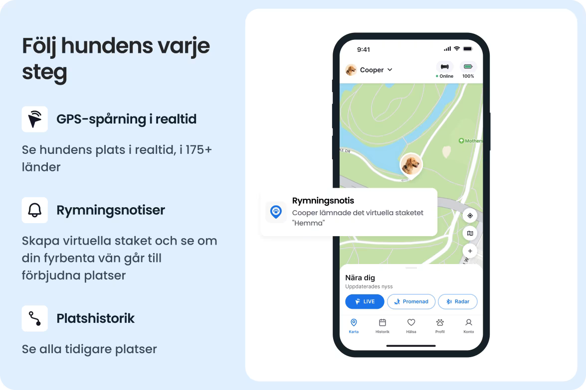 Tractive GPS Dog 6