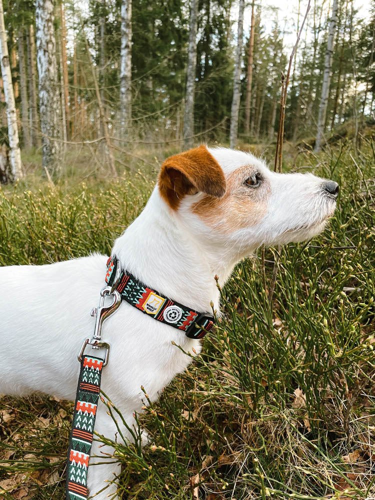Woolly Wolf Halsband Woodland