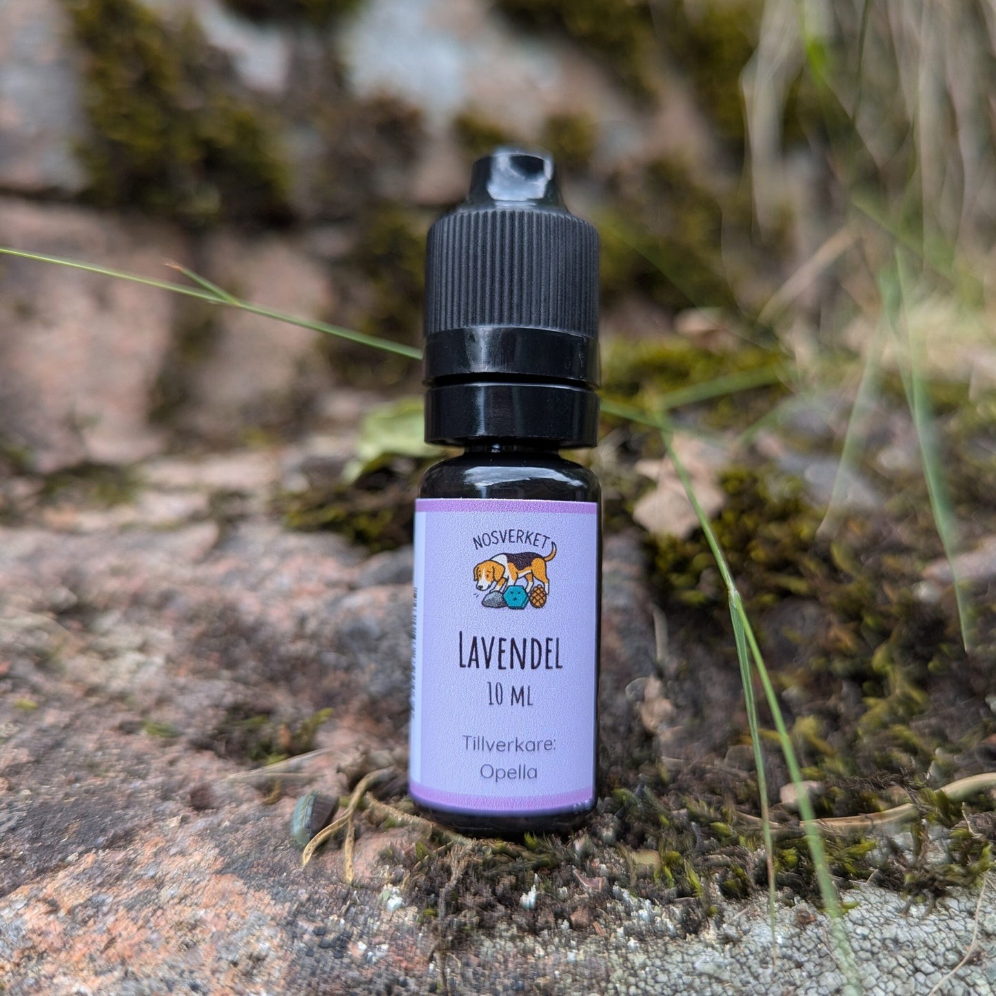 Nosverket Lavendelhydrolat 10ml Droppip