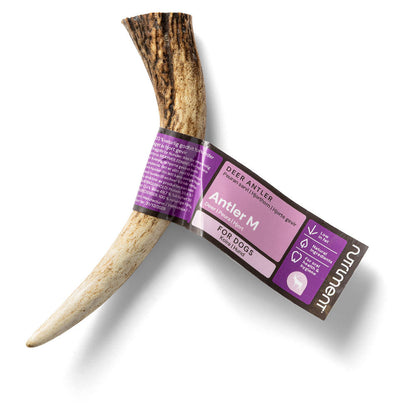 Nutriment Hjorthorn M