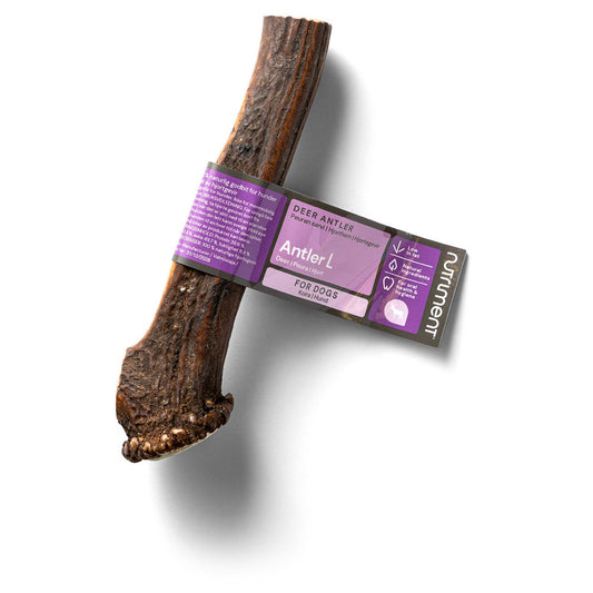 Nutriment Hjorthorn L
