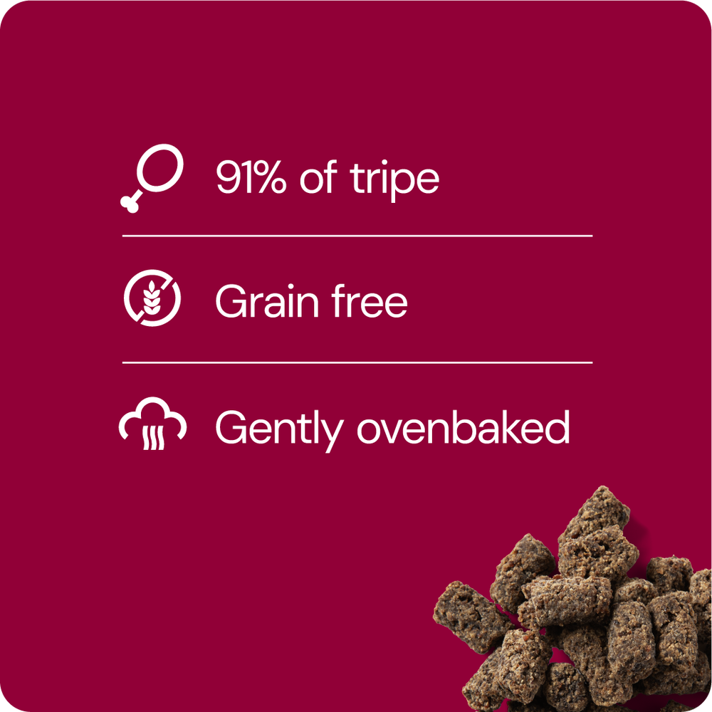 RAUH! Tripe Treat