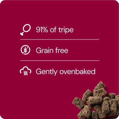 RAUH! Tripe Treat