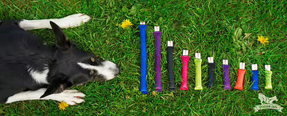 Doggie-Zen Minidummies