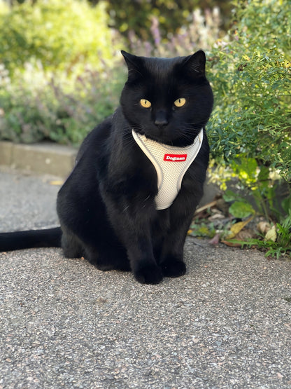 Dogman Air Mesh Sele för Katt Beige