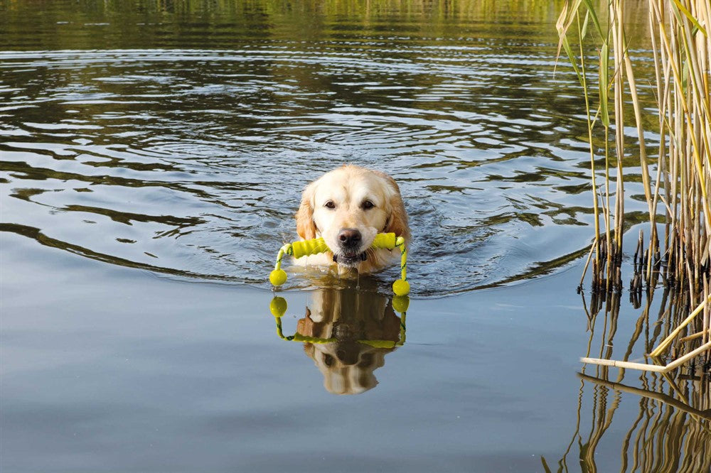 Trixie Dog Activity Mot-Long
