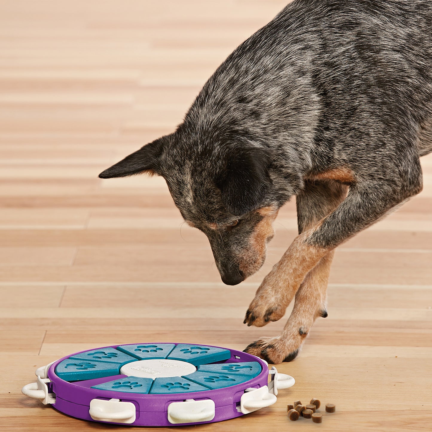 Nina Ottosson Puzzle Toy Twister