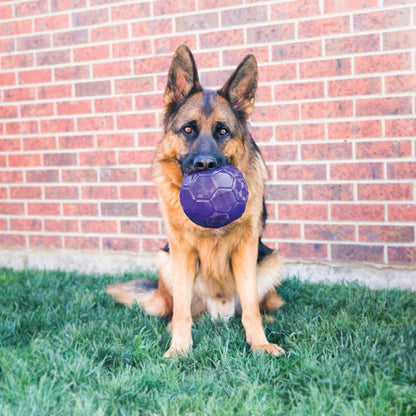 Kong Flexball M