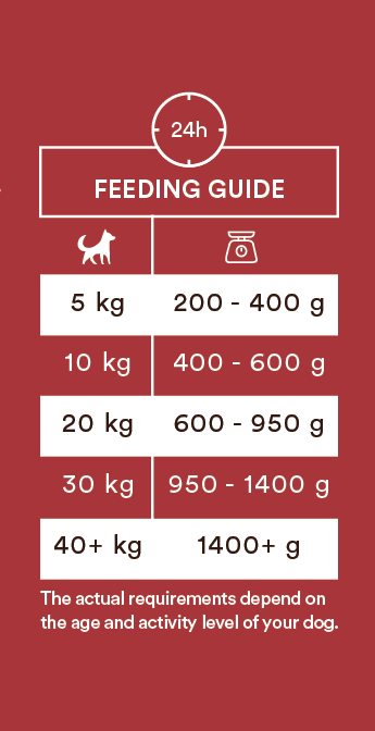 Monster Single Protein Beef