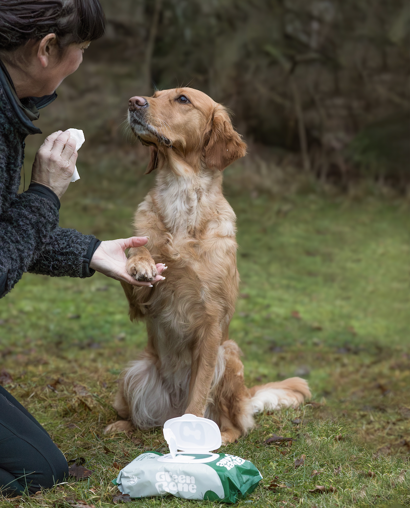 Green Bone Pet Wipes