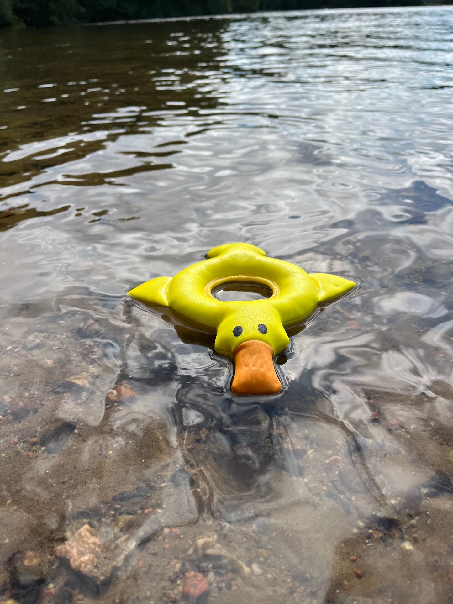 Rukka Pets Duck Floating Toy