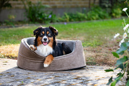 Dogman Sherpa Hundbädd Brun