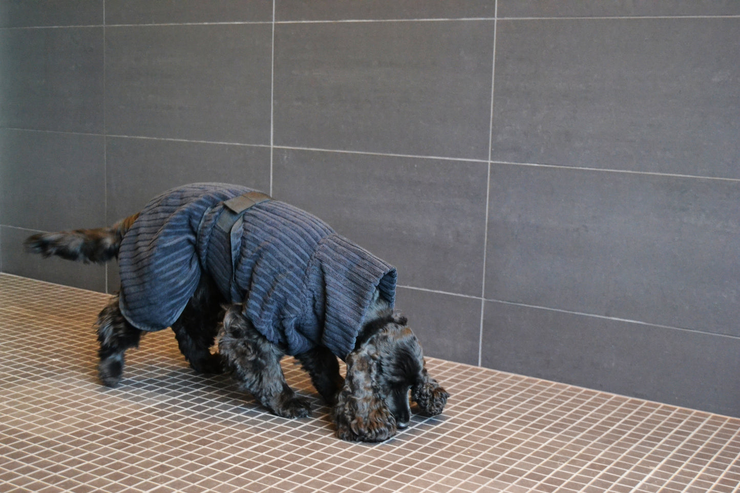 Rukka Pets x LUHTA HOME Aalto Pet Bathrobe