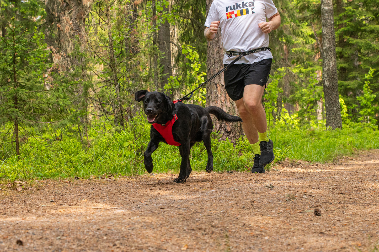 Rukka pets Hike belt+leash