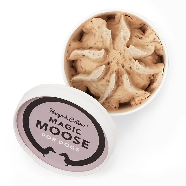 Hugo & Celine Hundglass Magic Moose