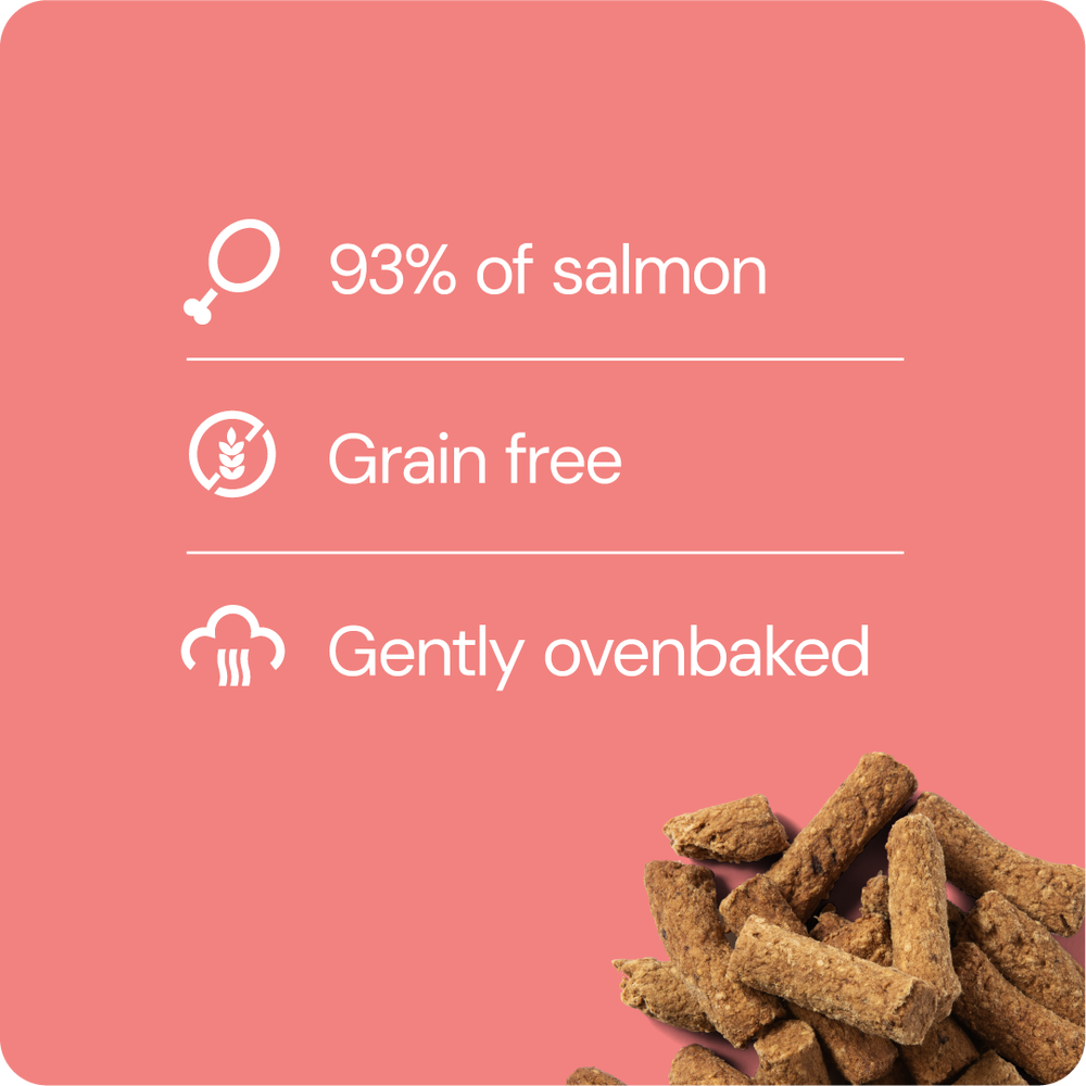 RAUH! Salmon Treat
