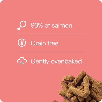 RAUH! Salmon Treat