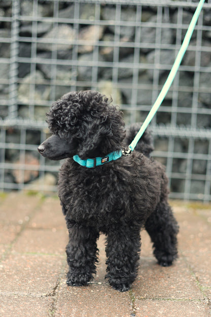 Rukka Pets Tiny Collar Ocean