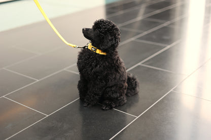 Rukka Pets Tiny Collar Sun