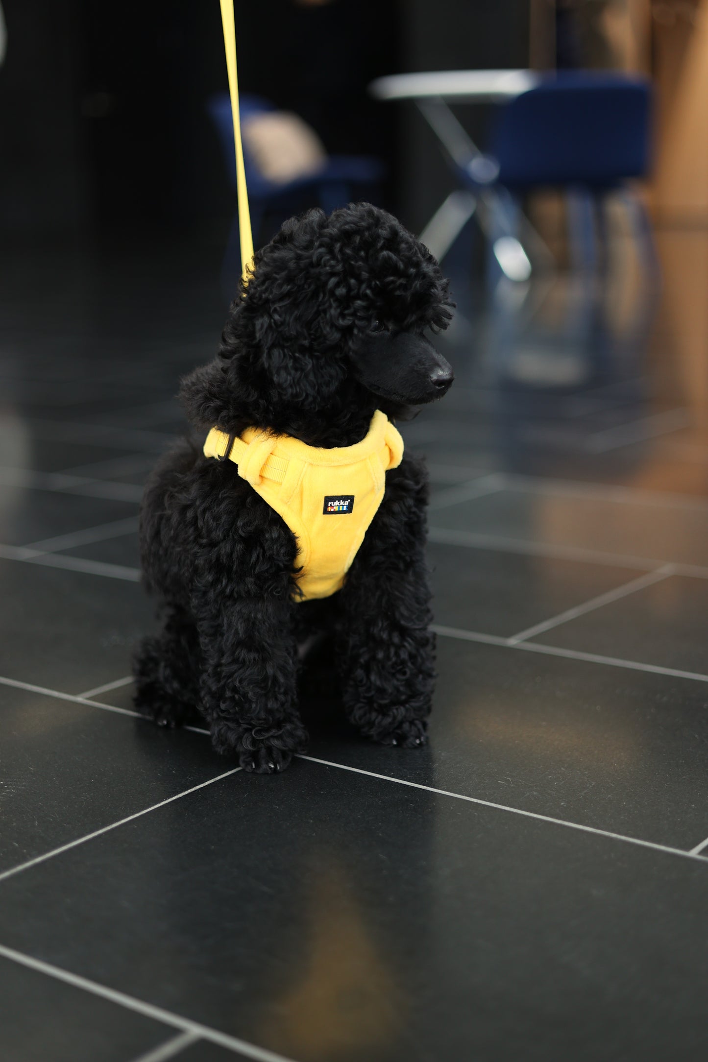 Rukka Pets Tiny Harness Sun