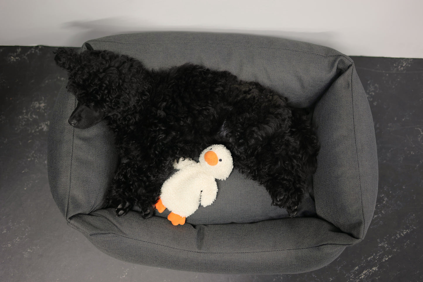 Rukka Pets Calm Duck Toy