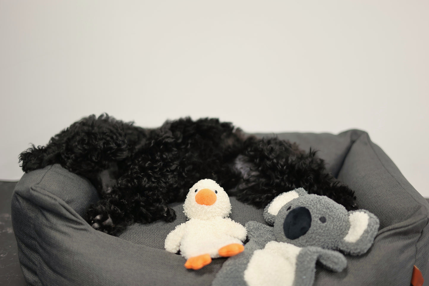 Rukka pets Koala Calm Toy
