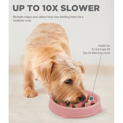 Outward Hound Fun Feeder Slo-bowl XS Mint