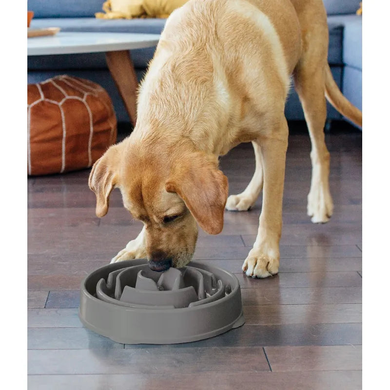 Outward Hound Fun Feeder Slo-bowl L Grå