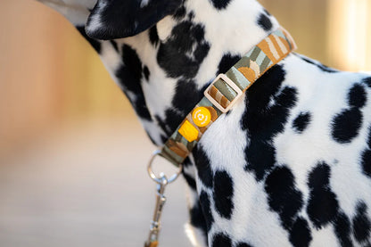 Woolly Wolf Halsband Cloudbeam