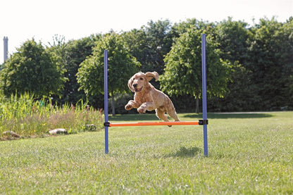 Trixie Agility Hopphinder Plast