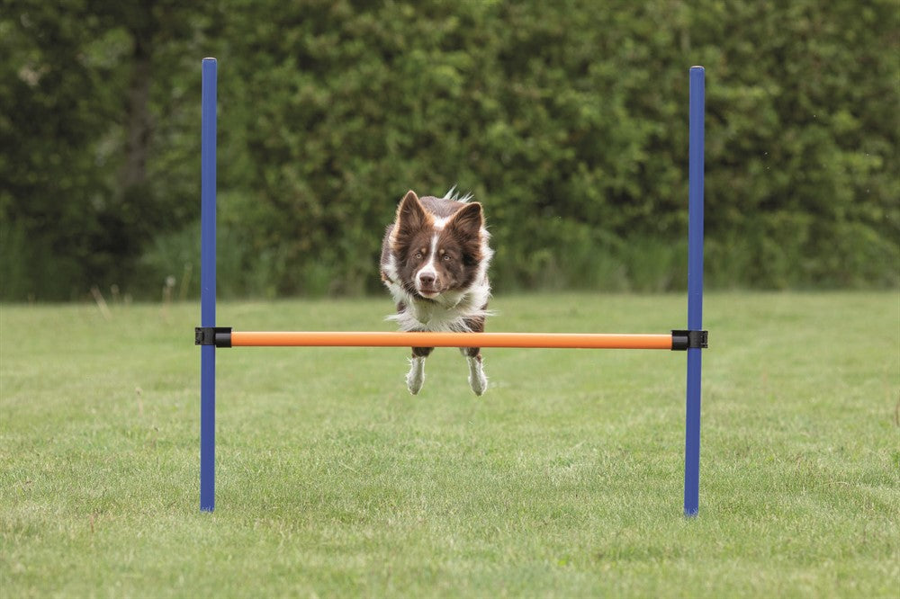 Trixie Agility Hopphinder Plast