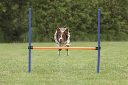 Trixie Agility Hopphinder Plast