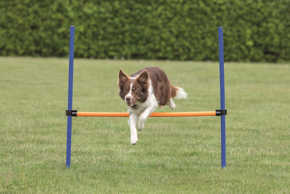 Trixie Agility Hopphinder Plast