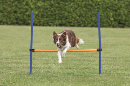 Trixie Agility Hopphinder Plast