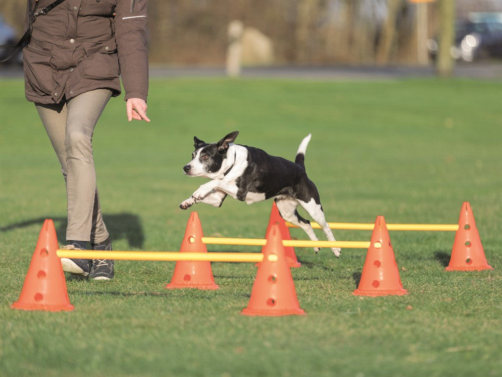 Trixie Dog Activity Hinderset