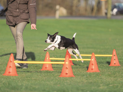 Trixie Dog Activity Hinderset