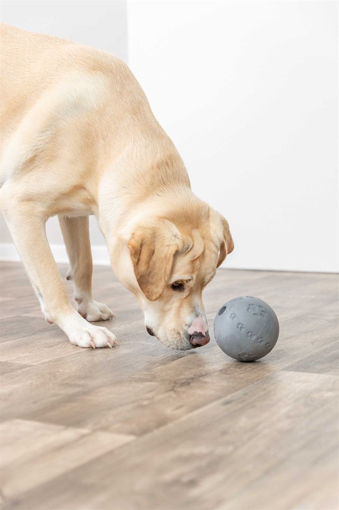 Trixie Snackboll