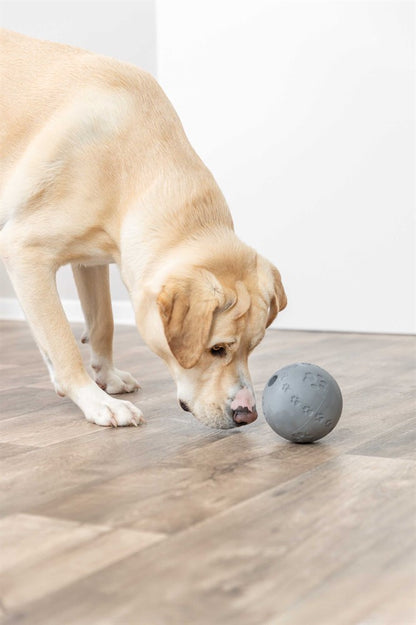 Trixie Snackboll