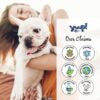 Yuup! Home Odor Control Shampoo