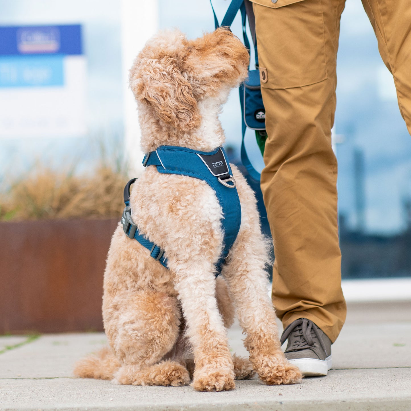 Dog Copenhagen Walk Pro Harness Black