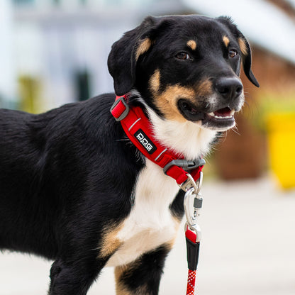Dog Copenhagen Urban Explorer Collar Black