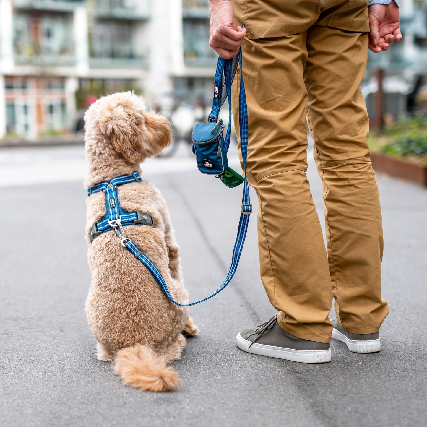 Dog Copenhagen Urban Freestyle Leash Desert Dune